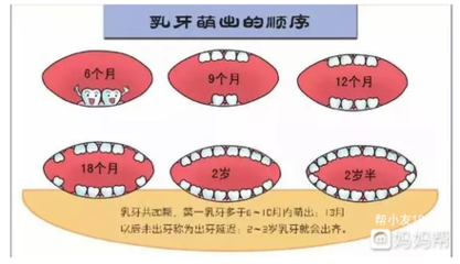 幼儿总共有多少颗牙齿