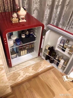 化妆品可以放冰箱吗