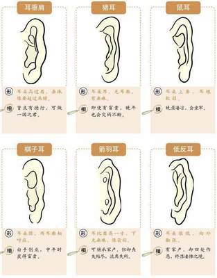 男人反耳面相