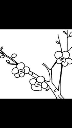 梅花树怎么画简单一点