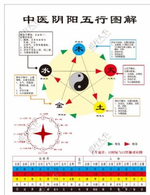 阴阳与五行