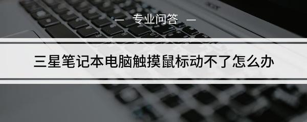 笔记本电脑触摸动不了