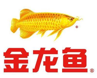 龍魚戰(zhàn)船鸚鵡魚和什么魚混養(yǎng)最好（龍魚和戰(zhàn)船魚能混養(yǎng)嗎?）