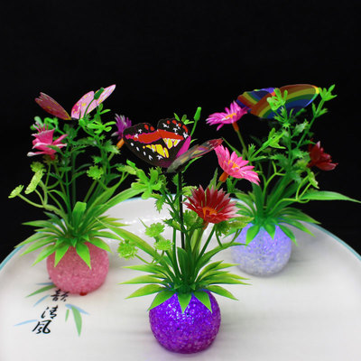 厨房用盘点缀花草