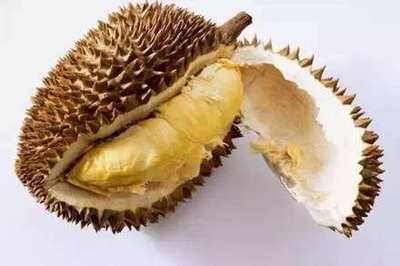 榴莲怀孕可以吃吗