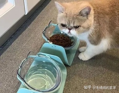 每天拉稀是怎么回事