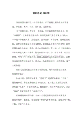 关于信阳毛尖的作文