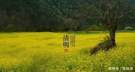 过得快的是阴历还是阳历