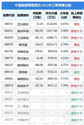 股票净值多少买好