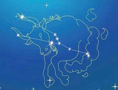 和金牛最配的星座