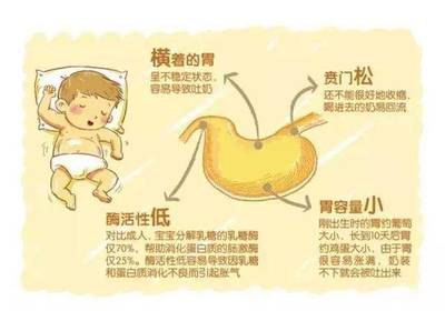 新生儿胃图片