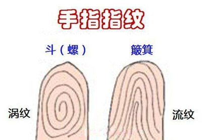 手指十个斗的男人命运