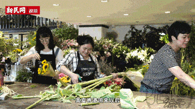 唔系鲜花粤语什么意思