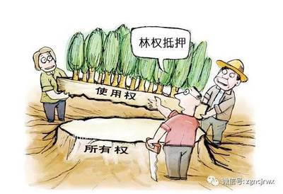 林权抵押贷款