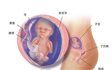 37周宝宝发育标准