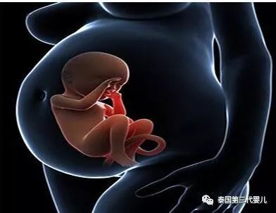 两个月胎停是什么原因
