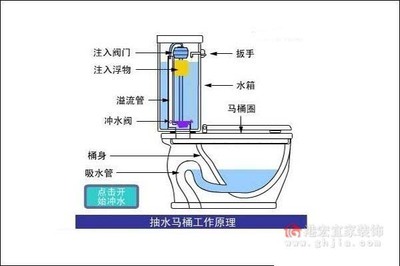 马桶剖面图