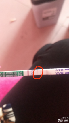 怀孕半个月验孕棒能测出来吗
