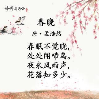 春晓这首古诗怎么写