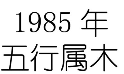 85年的五行属什么