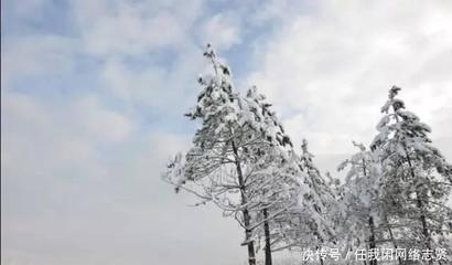 心口窝凉是怎么回事
