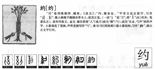 维字五行属什么的