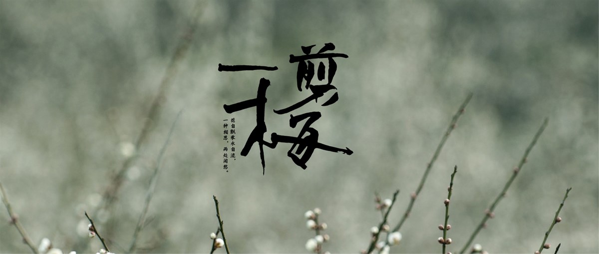 词牌名怎么用