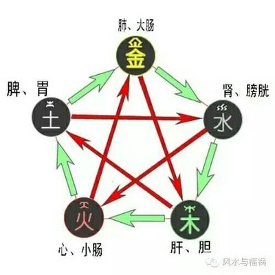 坐山五行