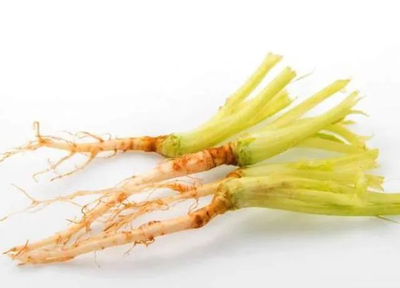 怀孕能吃芹菜