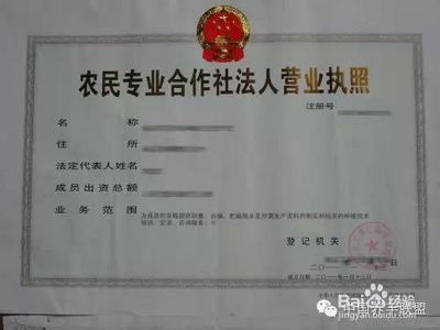申办公司营业执照流程
