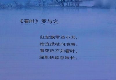 人生淡泊怎么理解