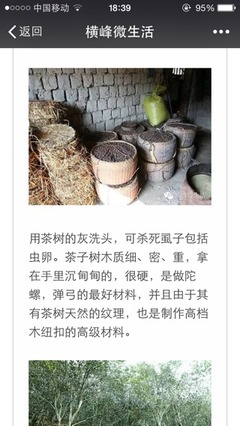 坐月子吃茶油好吗