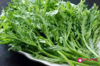 孕妇可以吃茼蒿吗