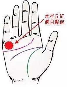 左手断掌的女人命运