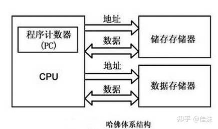 arm要学什么意思