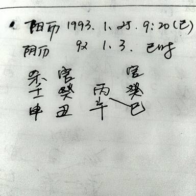 93年出生的人是什么命