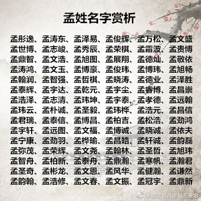 孟姓男孩起名大全