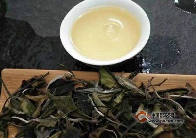 白茶晚上能喝吗