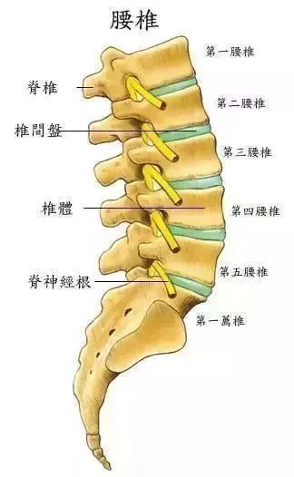 椎间盘膨突出怎么治疗