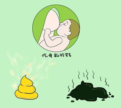 孕妇拉屎很臭