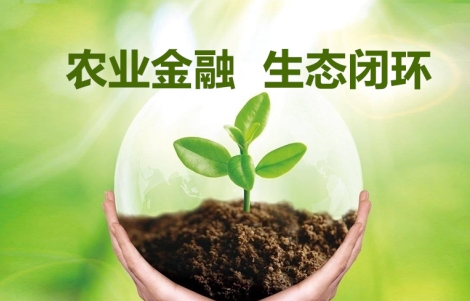 合作社可以贷款吗