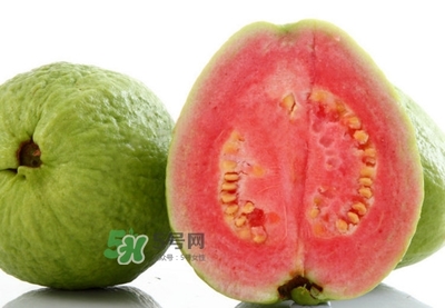 番石榴孕妇可以吃吗