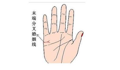 如何看手相婚姻线