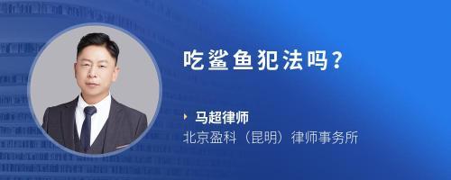 卖鲨鱼犯法吗