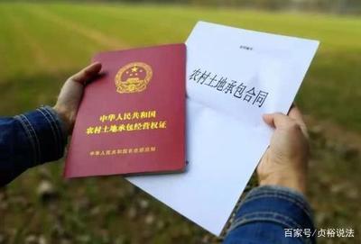 林地承包期限法律规定