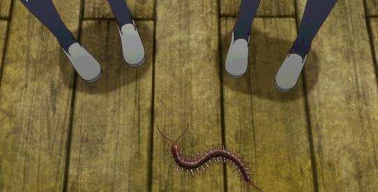 蜈蚣是什么生肖