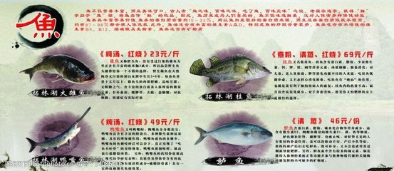 渔和鱼的不同含义