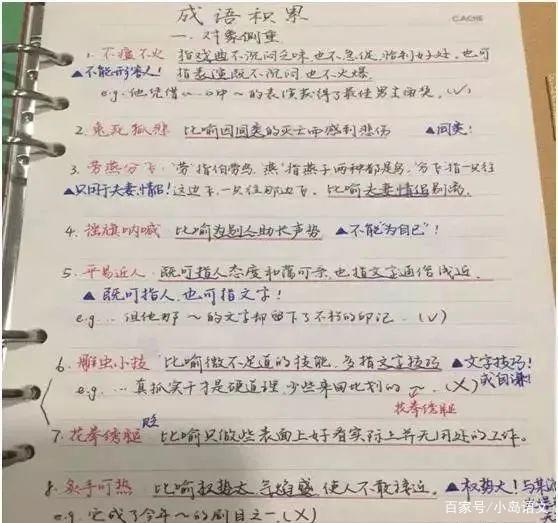学校树林的作文三年级作文怎么写