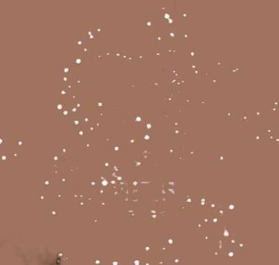 八月13日是什么星座