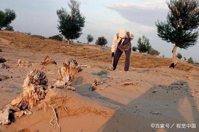 沙漠化的原因是什么